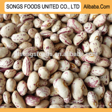 Kidney beans specification